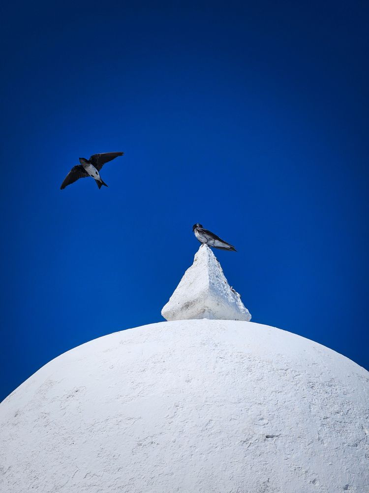 Photograph by Diego Miranda