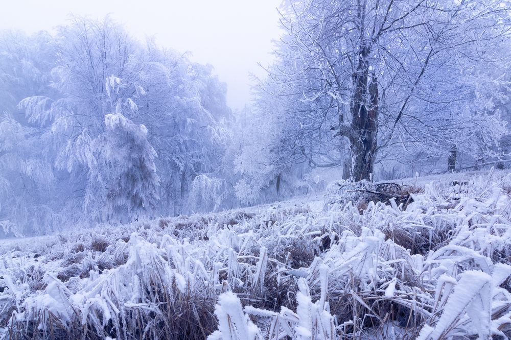 Photograph by Lukas Kulla