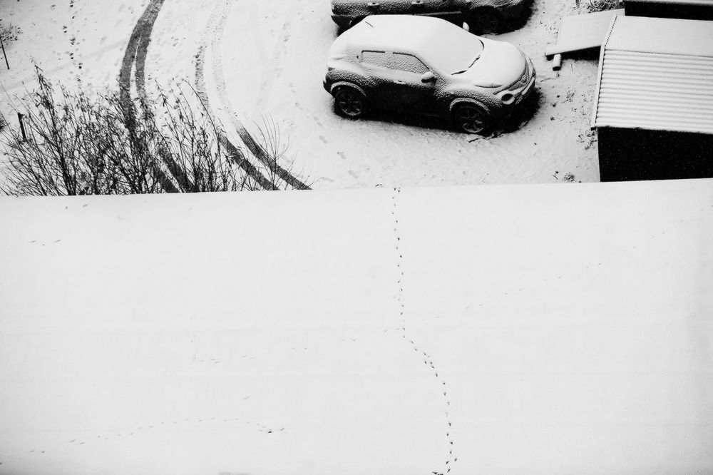 Photograph by Сергей Олюков