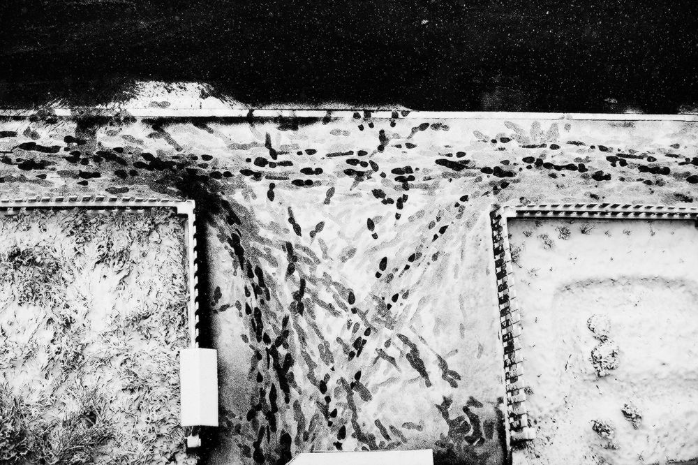 Photograph by Сергей Олюков