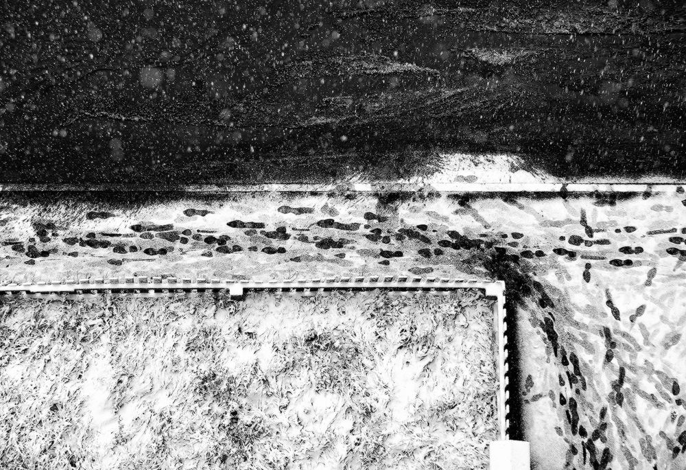 Photograph by Сергей Олюков