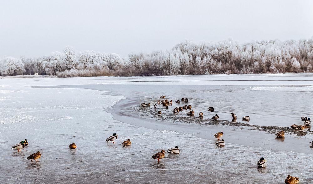 Фотография автора Юлия