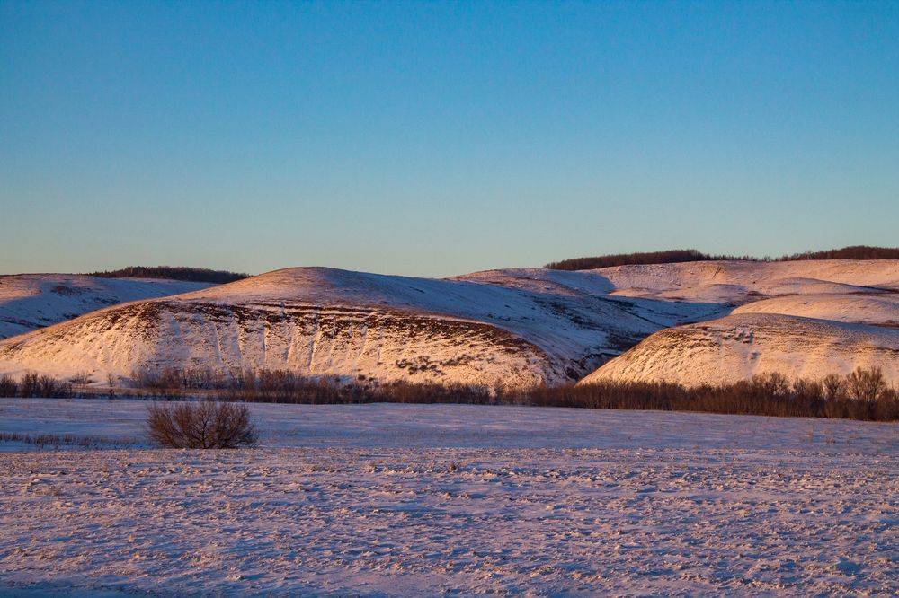 Фотография автора Дарья Рогозина