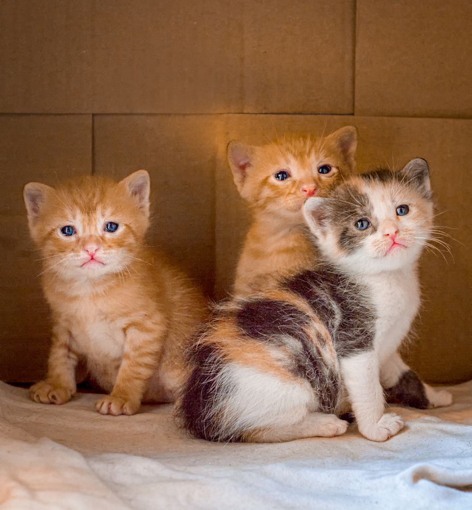 Photograph by Sabry Nael