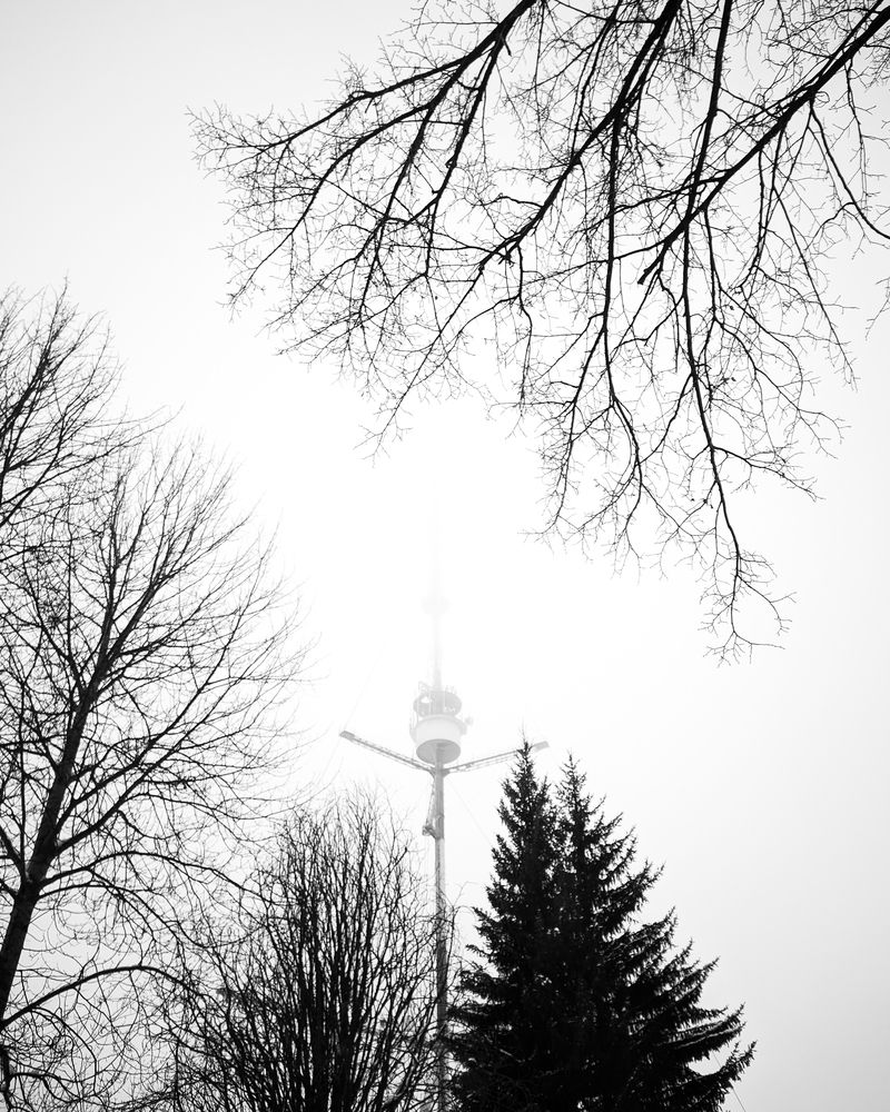 Фотография автора Романов Олег