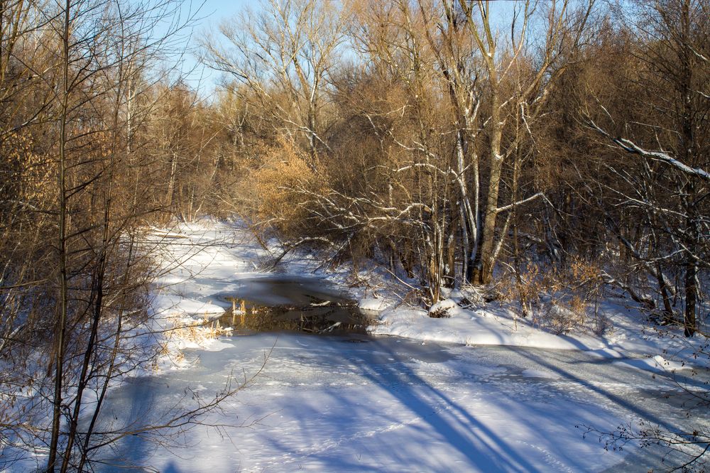 Фотография автора Дарья Рогозина