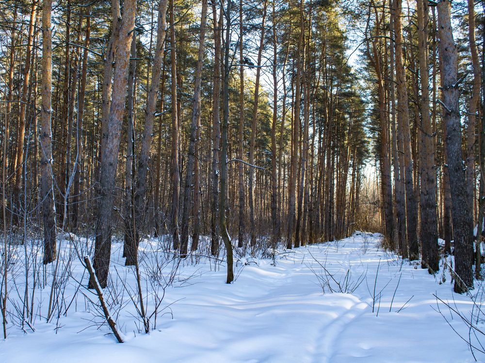 Фотография автора Дарья Рогозина