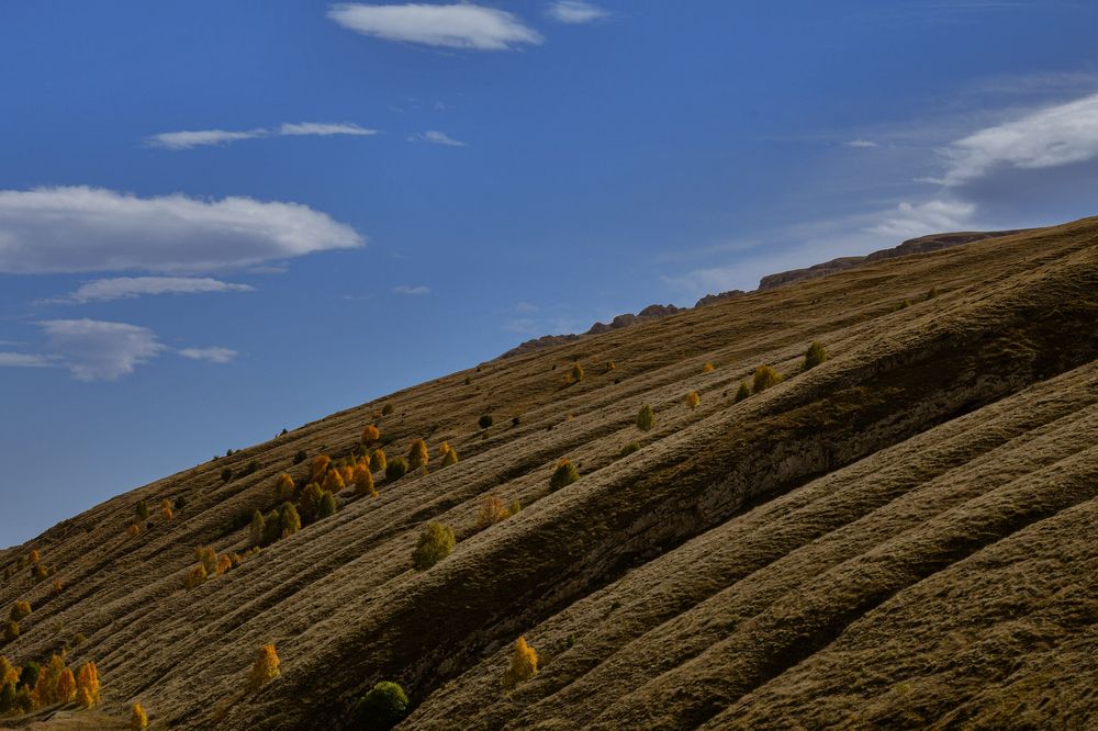 Photograph by Олег Корешонков