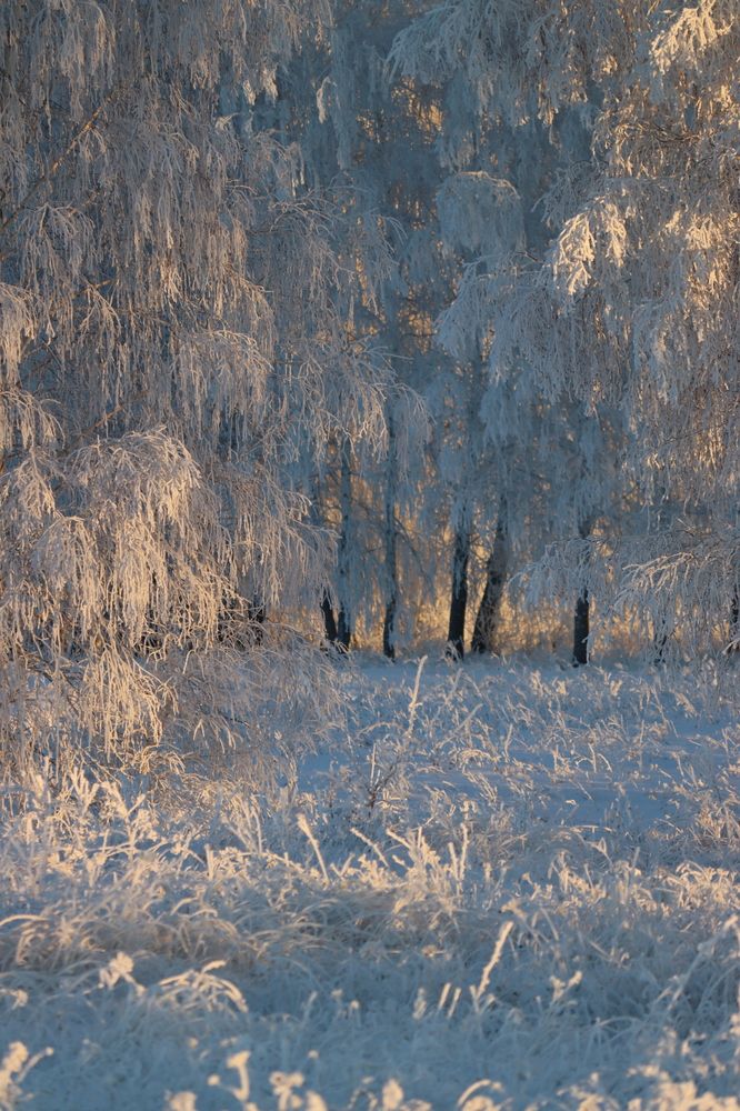Photograph by Natalia Ulyanova
