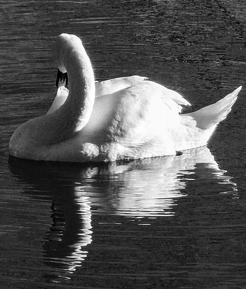 Фотография автора Нина Зинченко