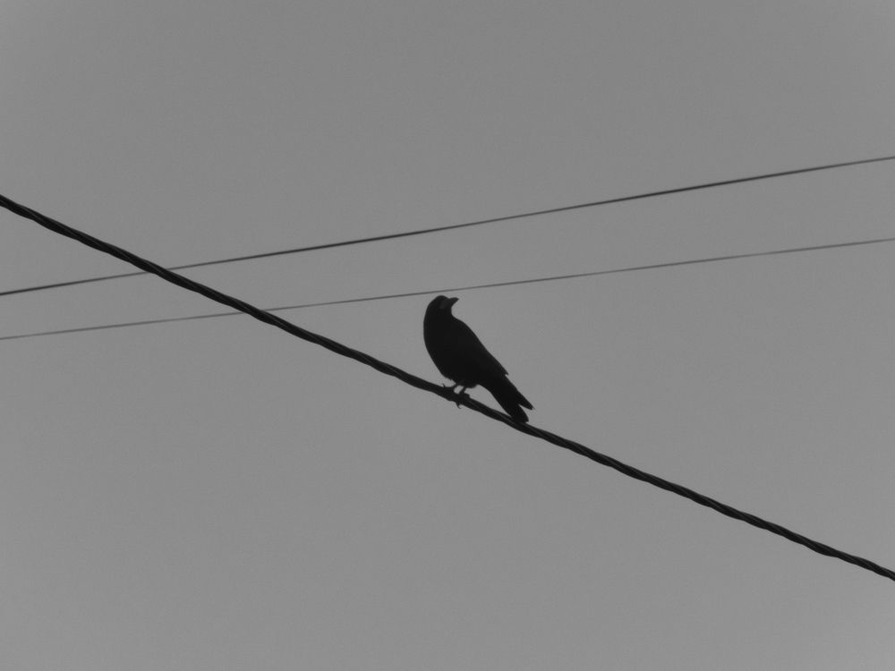 Photograph by Mad Mouse