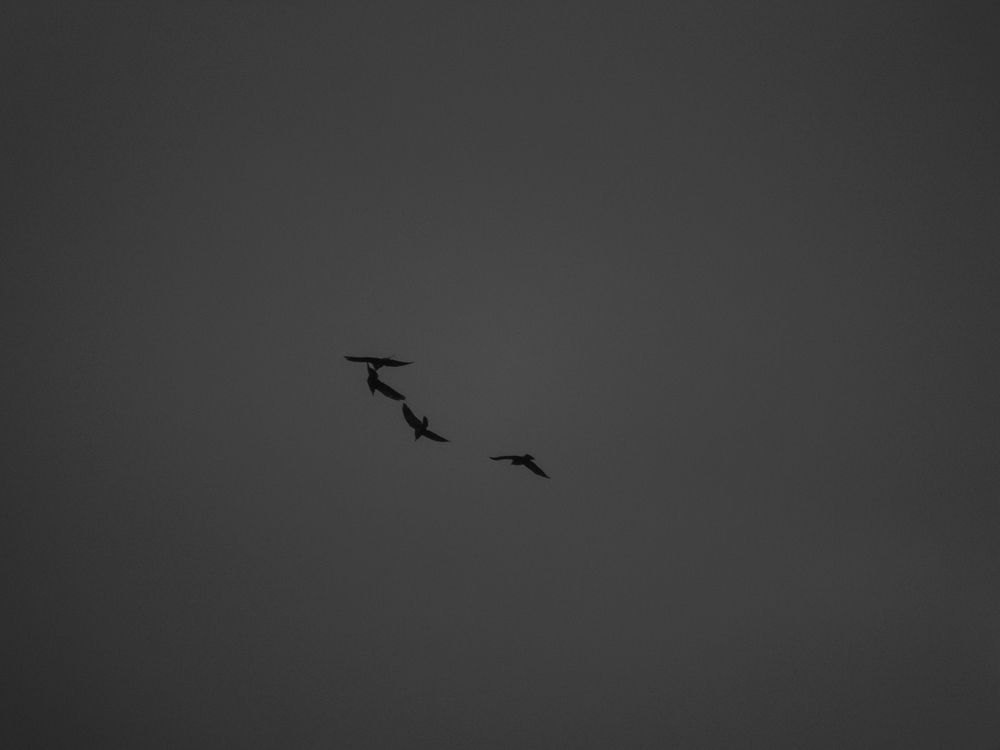 Photograph by Mad Mouse