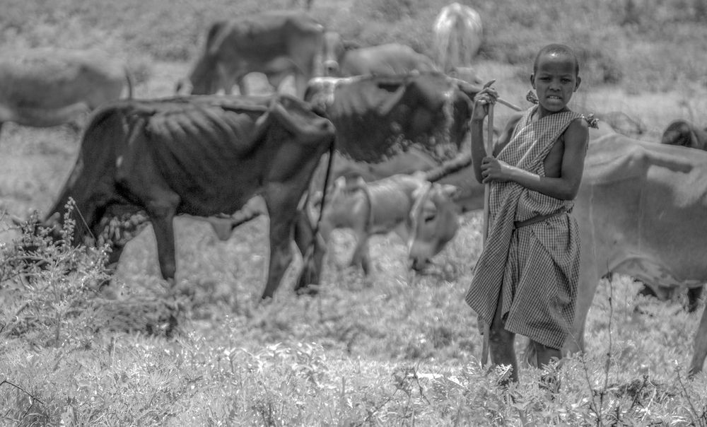 Photograph by Kristiina Stahlberg