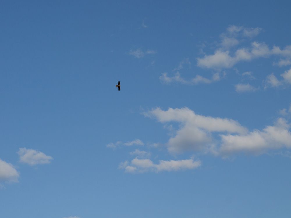 Фотография автора Дарья Рогозина