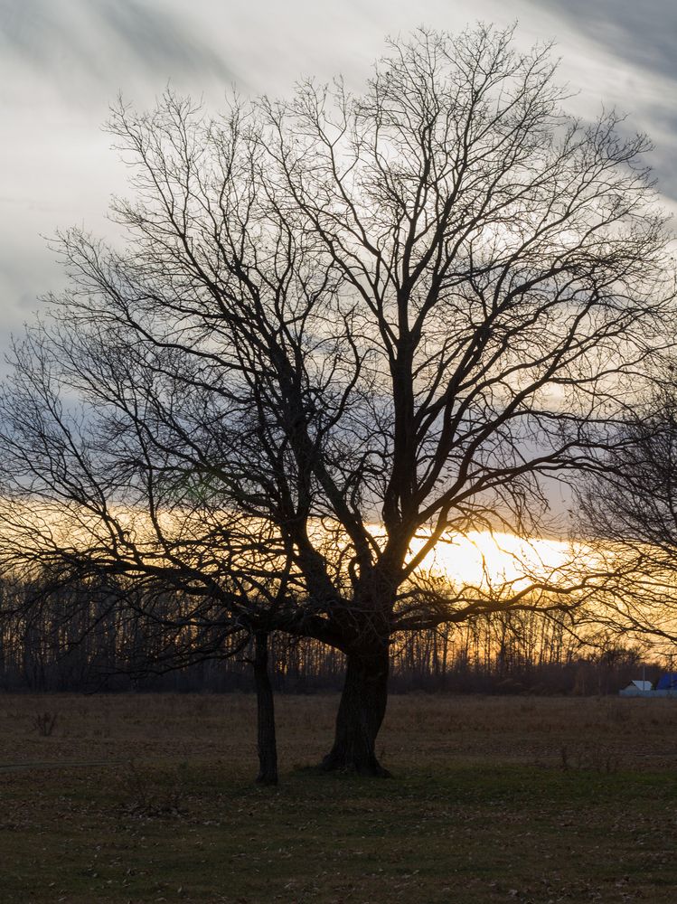 Фотография автора Дарья Рогозина