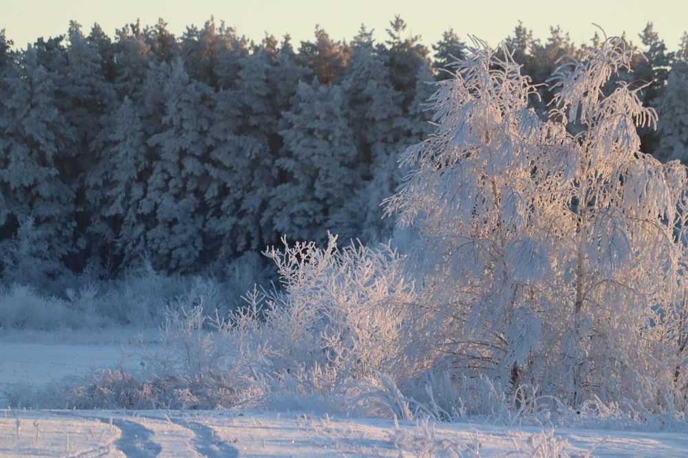 Photograph by Natalia Ulyanova