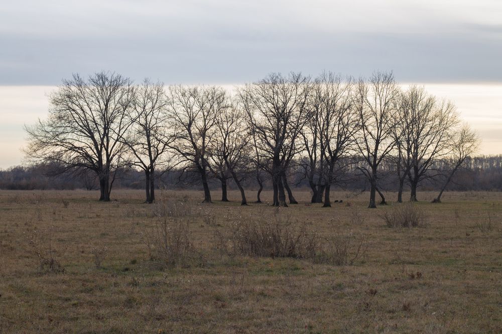 Фотография автора Дарья Рогозина