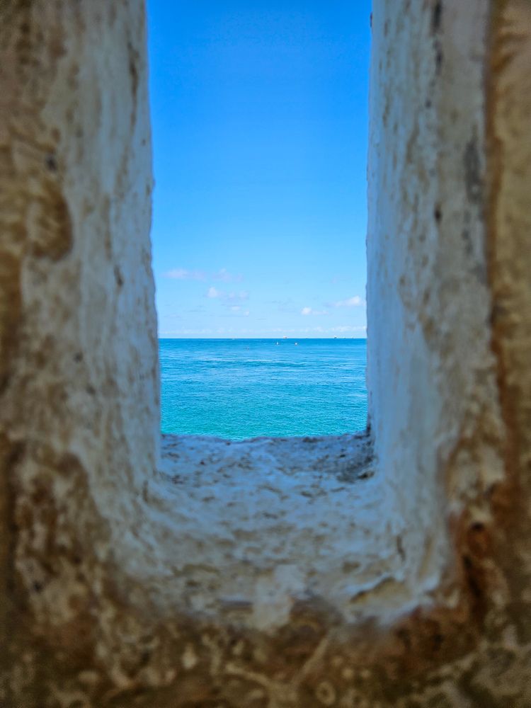 Photograph by Diego Miranda