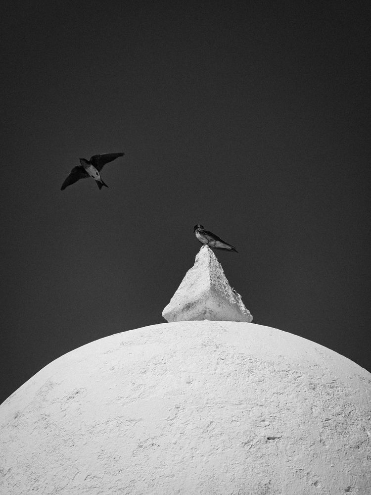 Photograph by Diego Miranda