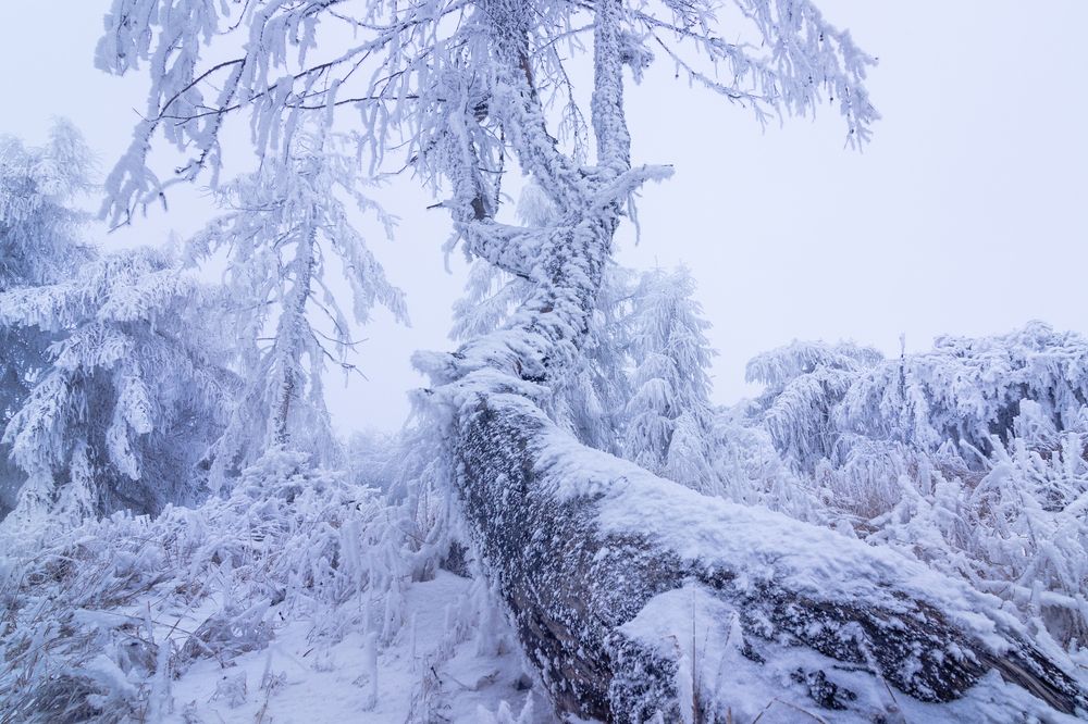 Photograph by Lukas Kulla