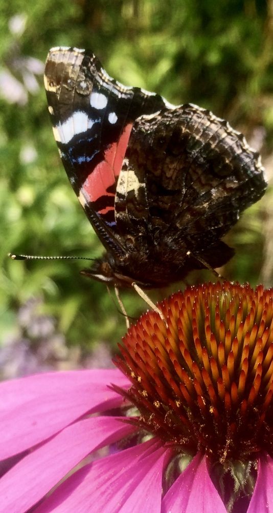 Photograph by Ирина Швейнова