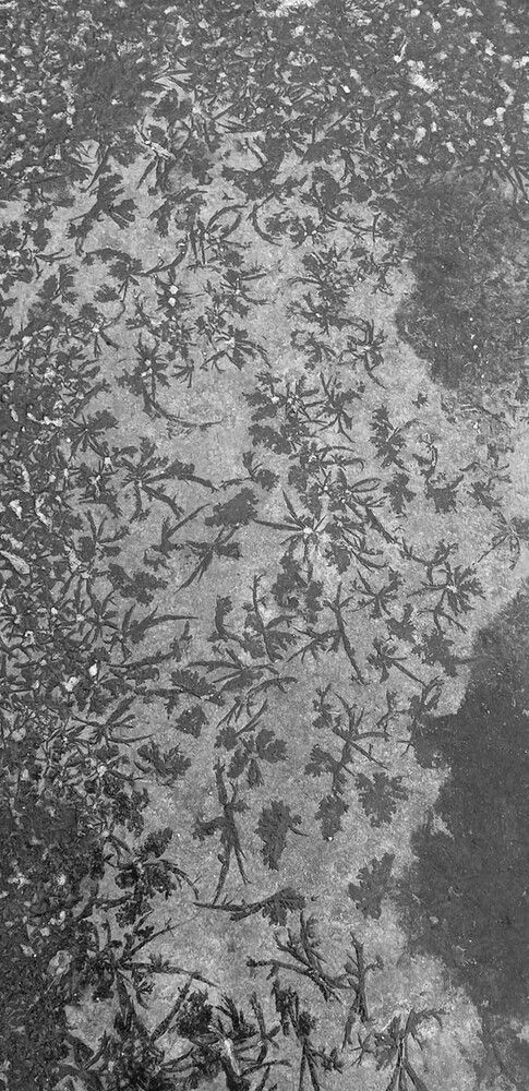 Photograph by Ксения