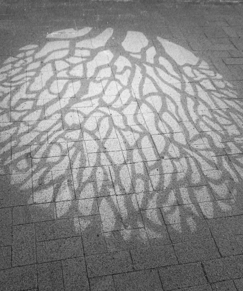 Photograph by Ксения