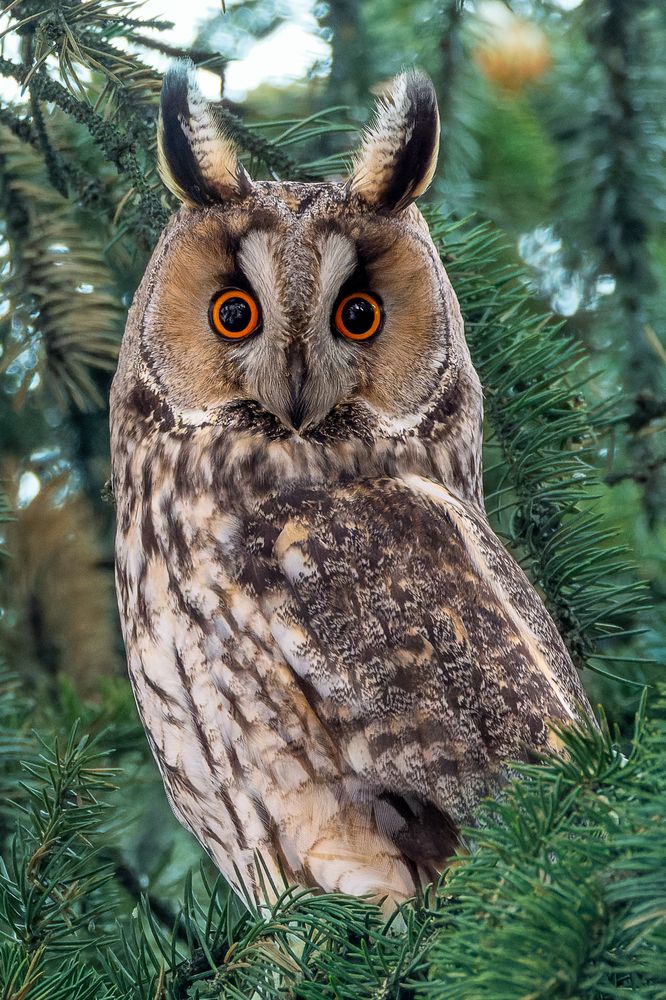 Photograph by Вера Машина