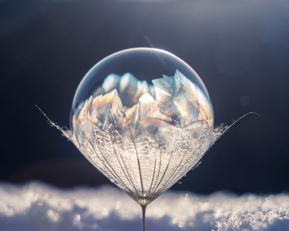 Photograph by Людмила Прибылова