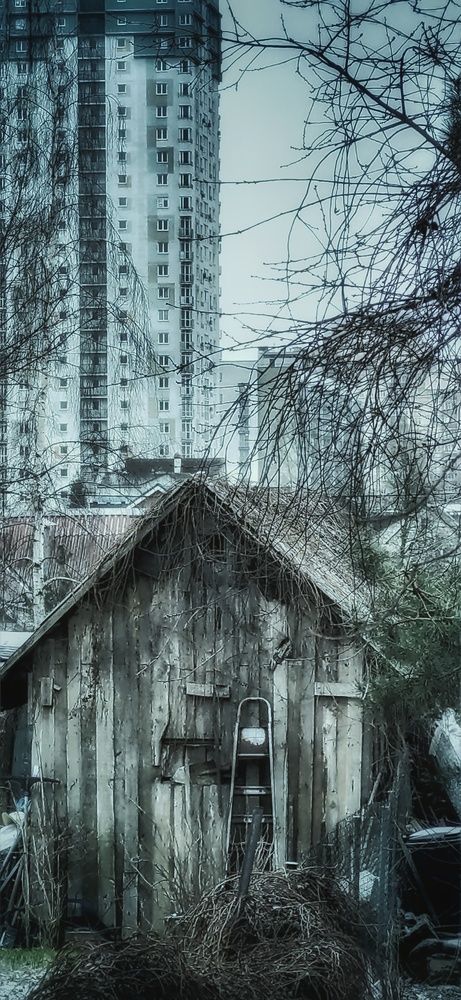 Фотография автора Максим Светличный