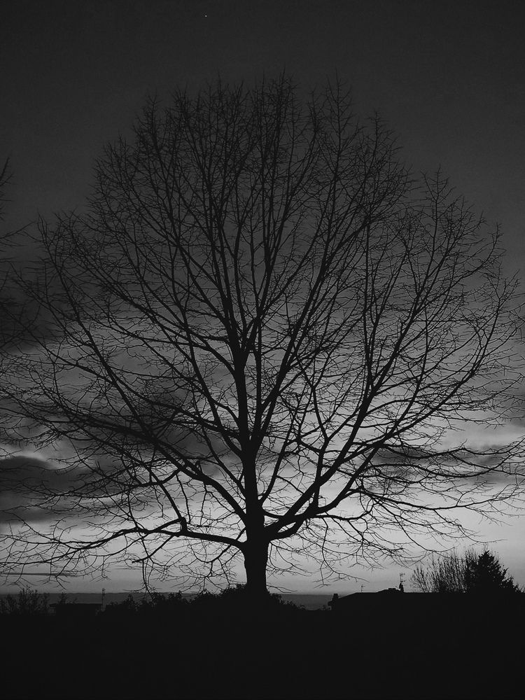 Photograph by Iryna Shyshkina