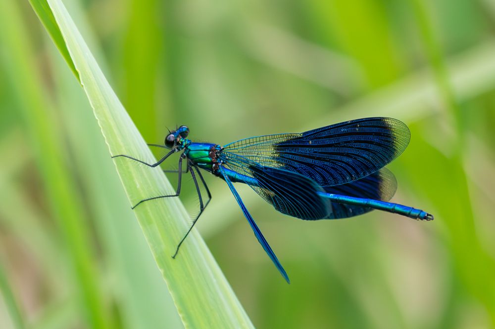 Photograph by Юлия Яковлева