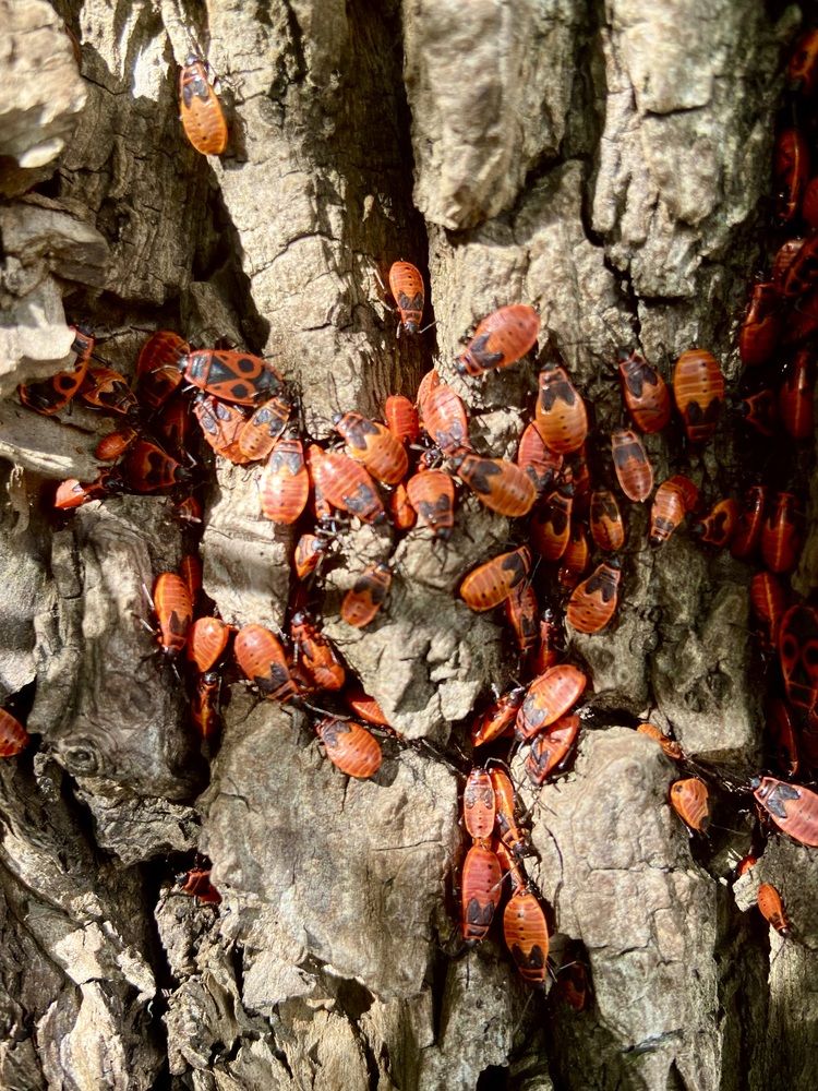 Photograph by Ирина Швейнова