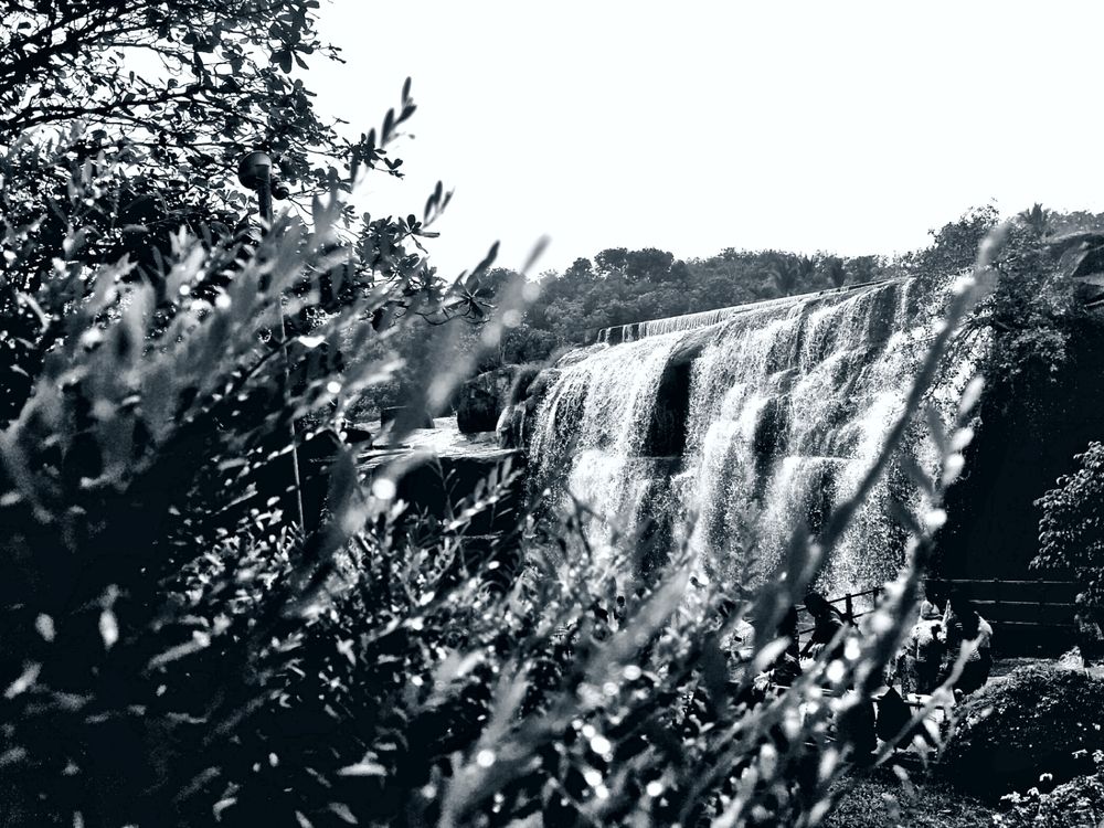Photograph by Aiswarya S T