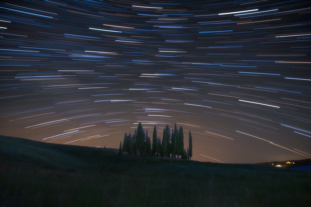 Psychedelic cypresses