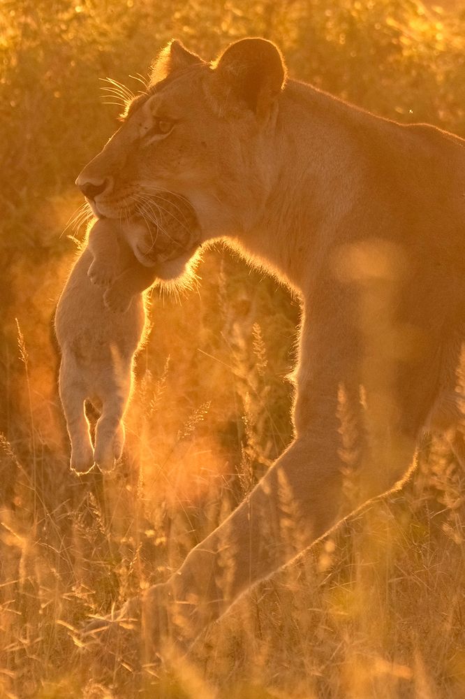 Photograph by dana berger