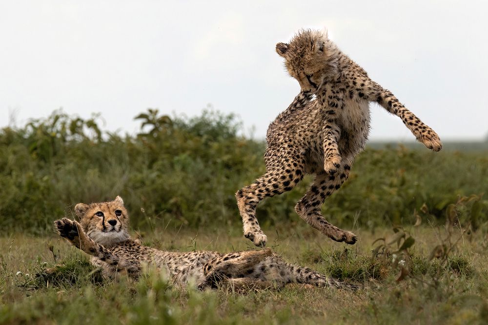 Photograph by dana berger