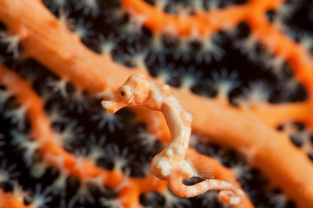 Фотография автора Андрей Нарчук