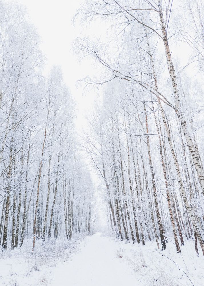 Photograph by Алексей Крукович