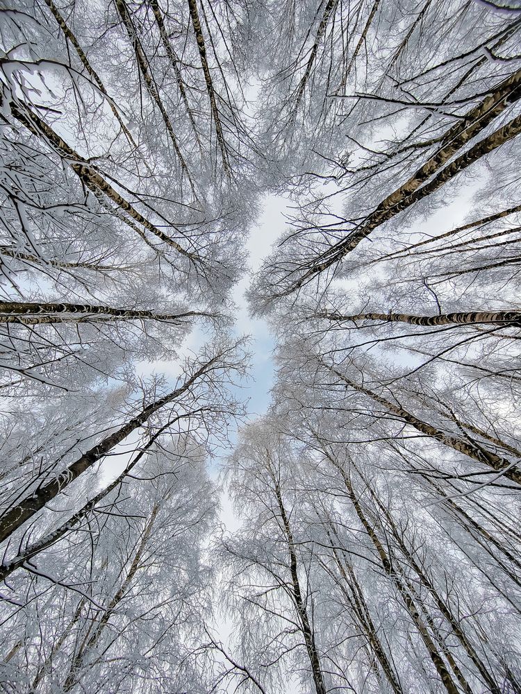 Photograph by Алексей Крукович