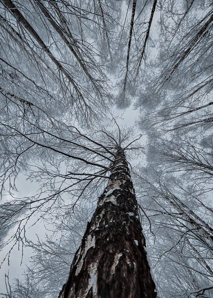 Photograph by Алексей Крукович