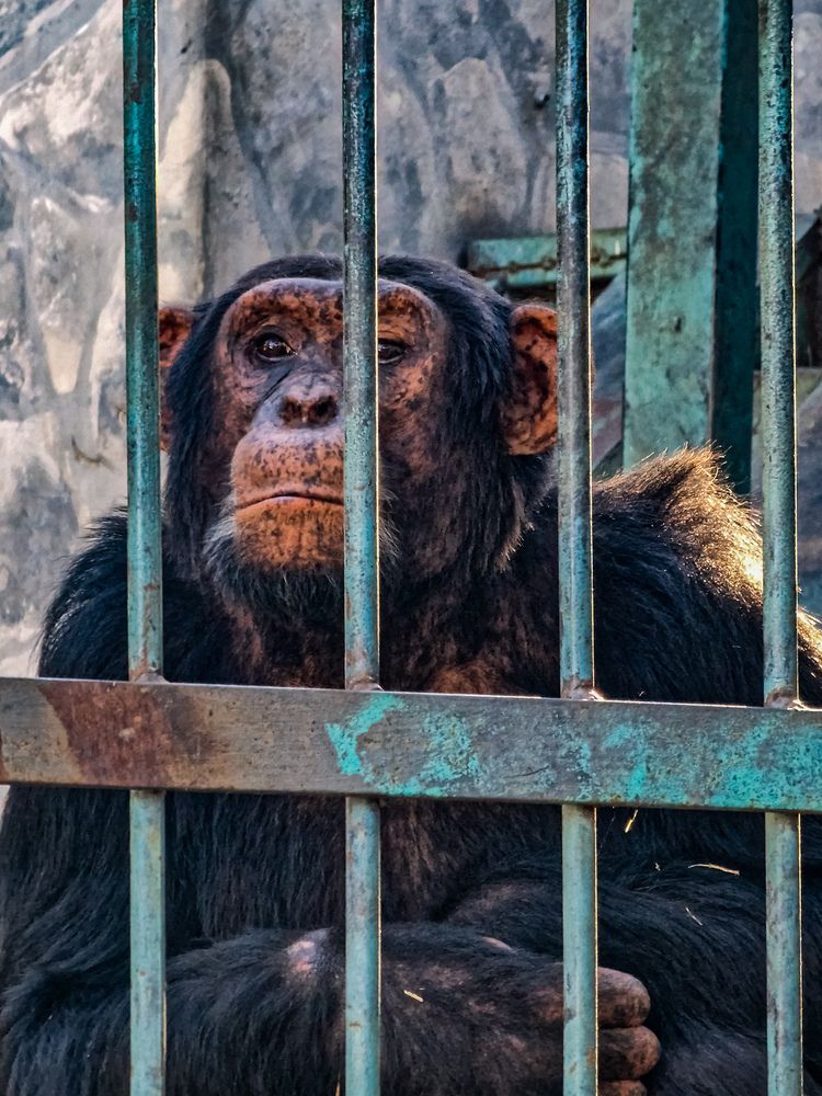 Photograph by Лариса Когтева