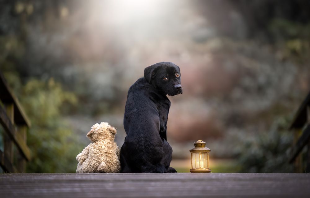 Photograph by Shanna van Mens