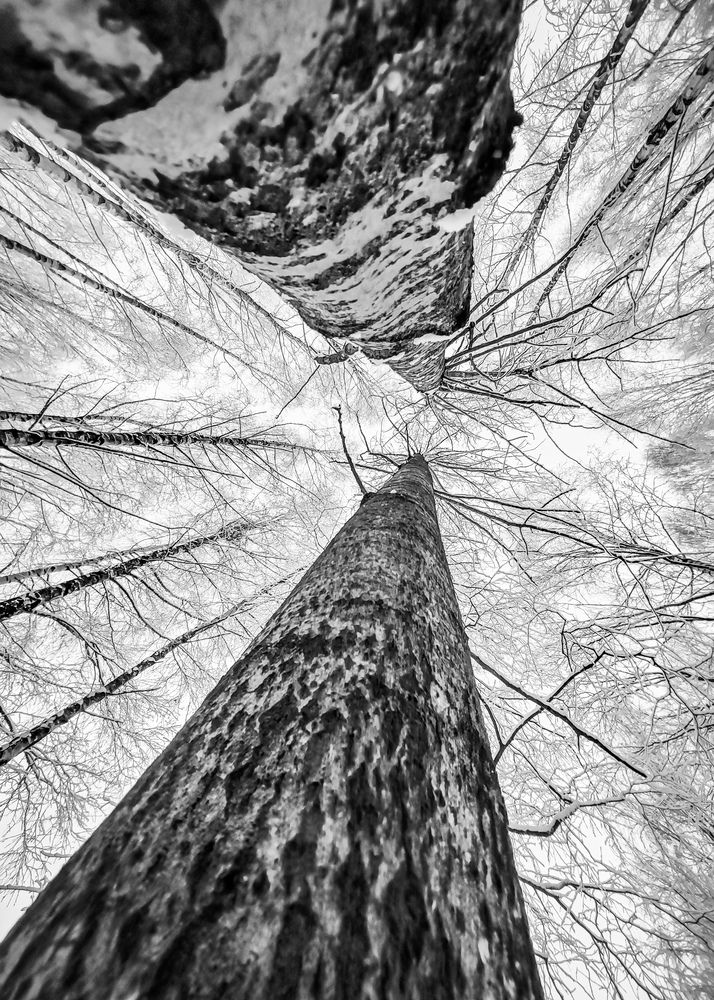 Photograph by Алексей Крукович