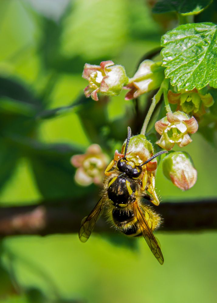 Photograph by Анастасия Сидоренко