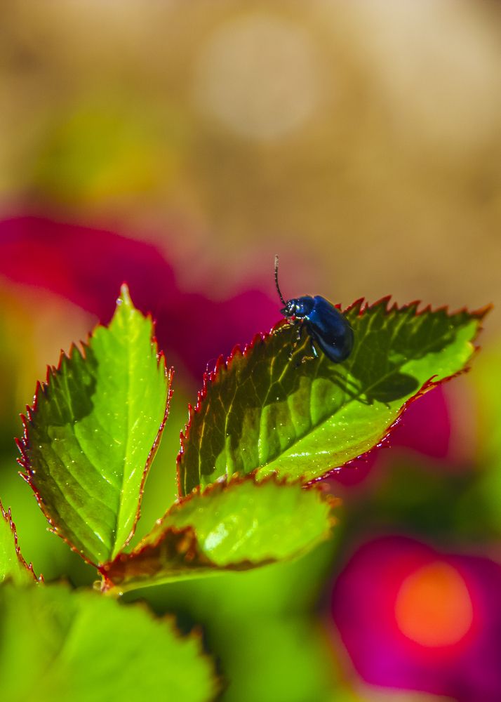 Photograph by Анастасия Сидоренко