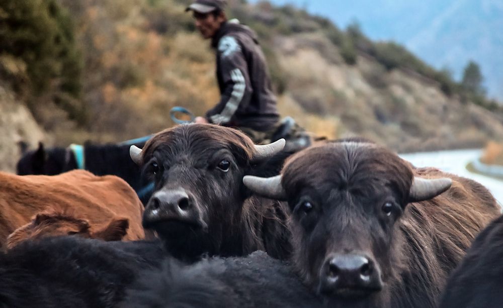 Фотография автора Ольга Виноградова