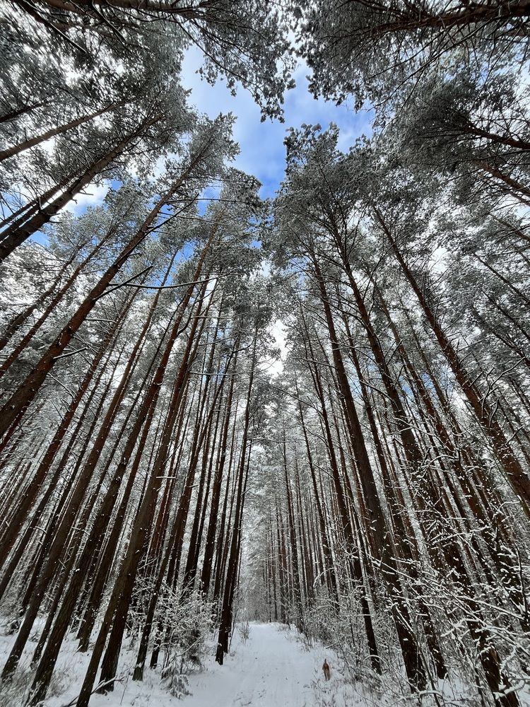 Photograph by Денис Клянченко