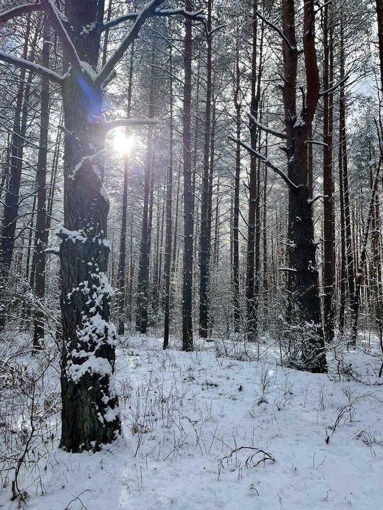 Photograph by Денис Клянченко