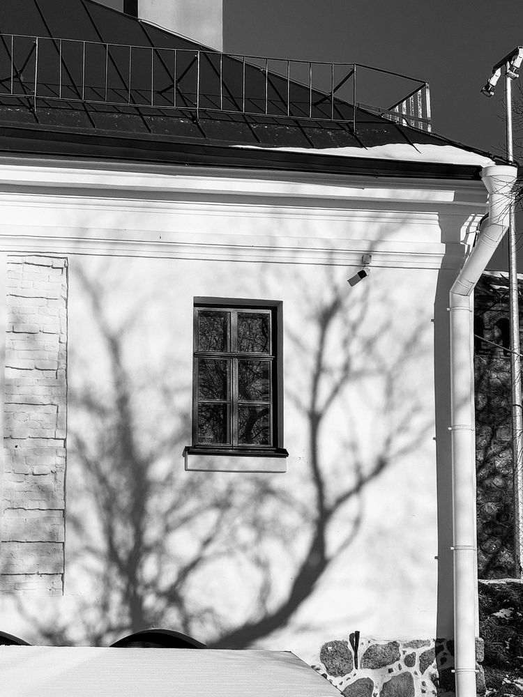 Photograph by Дарья Ищенко